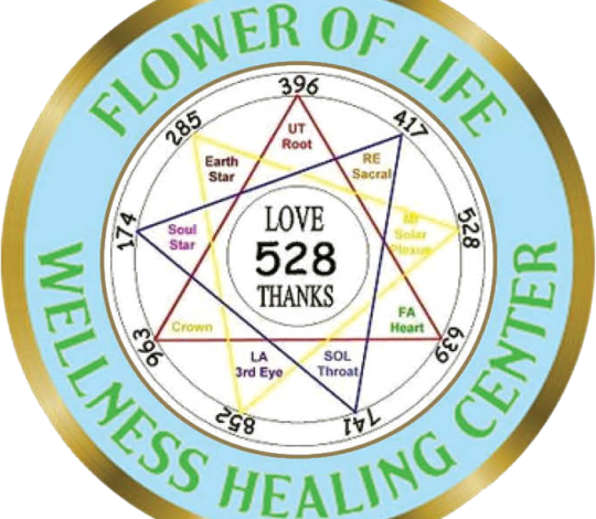 INTEGRATION OF THE ENERGETIC HEART & INTUITIVE CHAKRA (3RD EYE) WITH E.V.T.